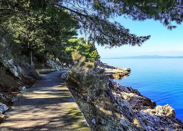 Sunny Place 트르파니