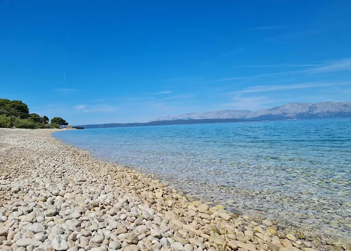 Sunny Place 아파트 *